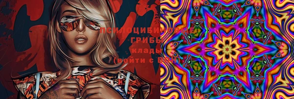 Альфа ПВП Осташков