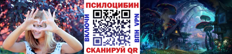 Псилоцибиновые грибы GOLDEN TEACHER  Бабушкин 